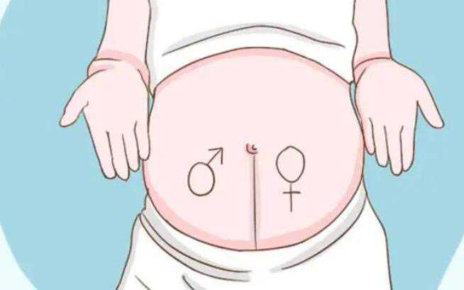 成都代孕中介攻略 成都是泰国试管婴儿预袭的前身： ‘b超形状看男女’