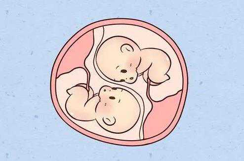 泰国试管婴儿全过程需要多久？,泰国试管婴儿移植之后，究竟需要躺多久